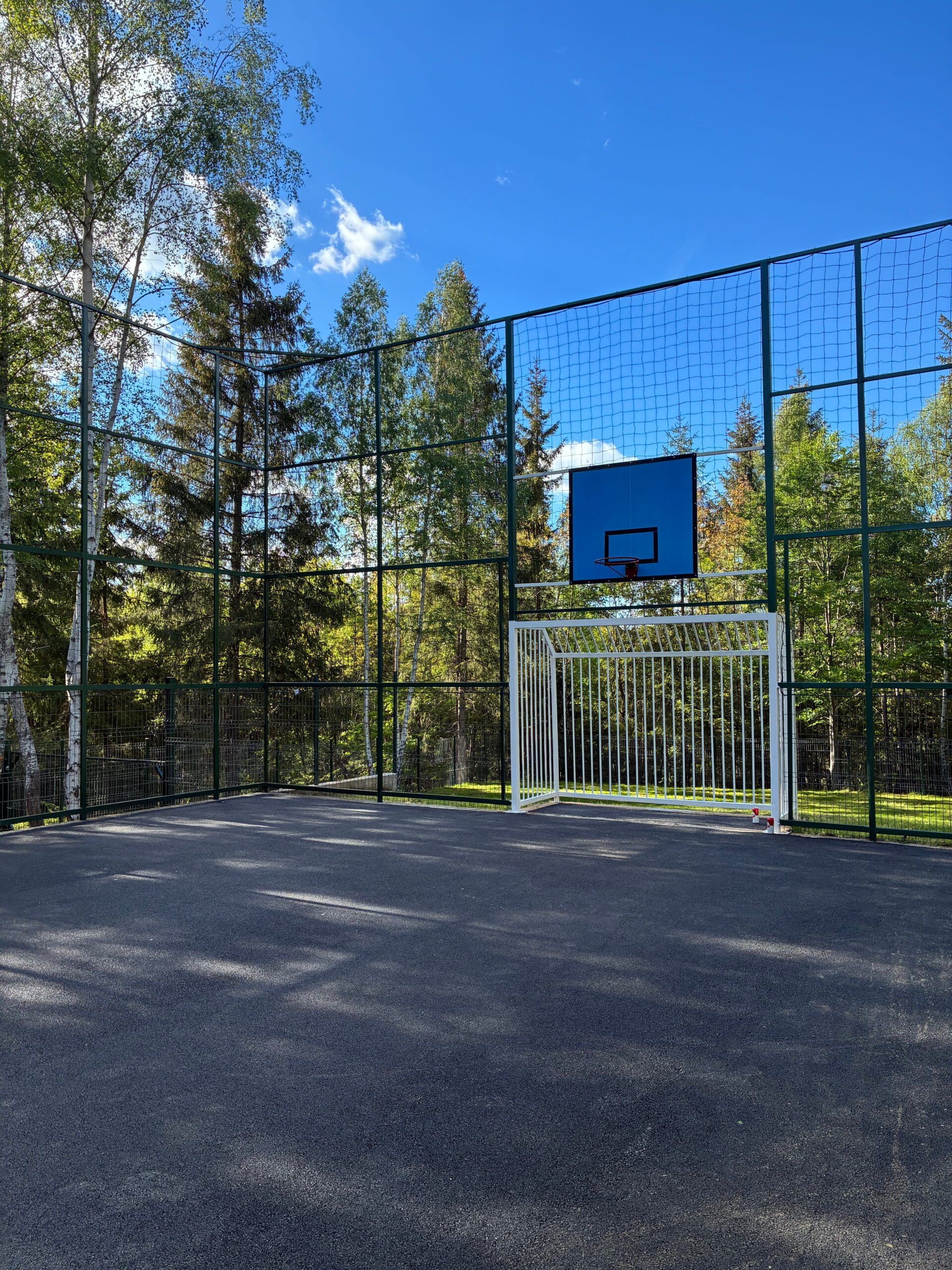 terenn de sport scaled